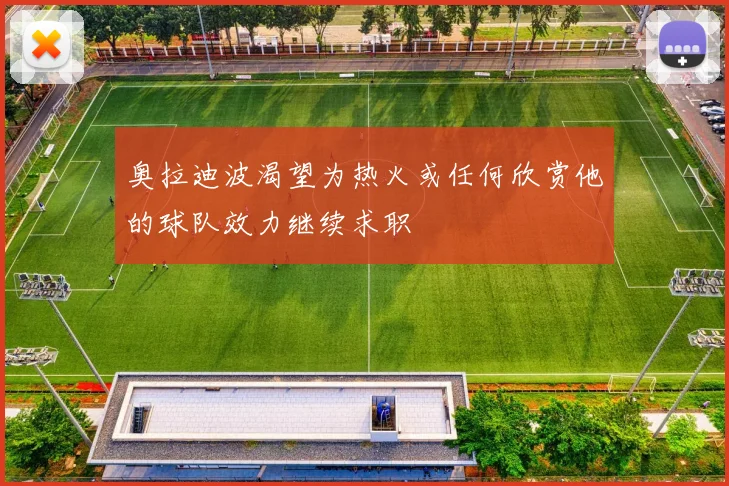 奥拉迪波渴望为热火或任何欣赏他的球队效力继续求职
